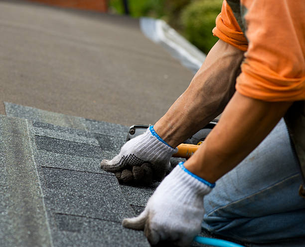 Best Metal Roofing Contractor  in Chico, WA